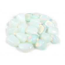 Opalina